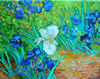 Gogh Gogh II	Acrylic on Canvas	14 x 18